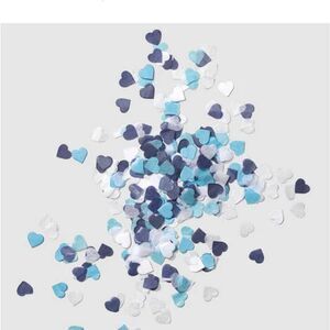 Draper James Heart Confetti in Blue and White set of 2 new